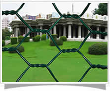 Hexagonal-wire-mesh