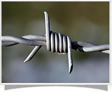 barbed-wire 
