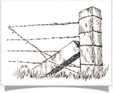 barbed-wire